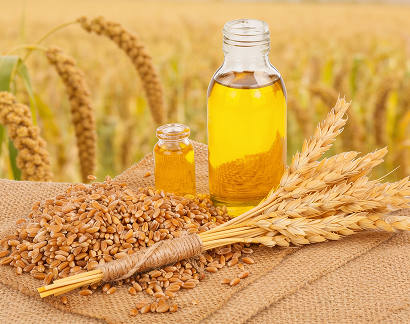 Millets & Oil Seeds